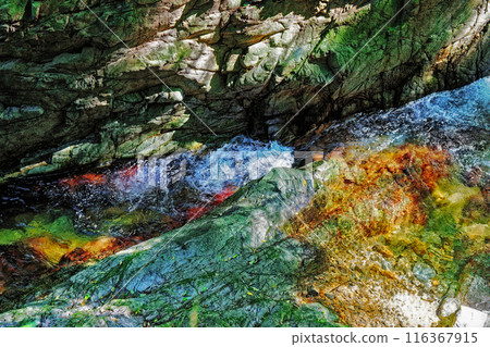 神秘的清流 116367915