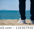 People who look at the sea 116367930
