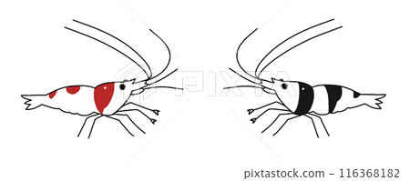Cute bee shrimp illustration simple Cute bee shrimp illustration simple 116368182