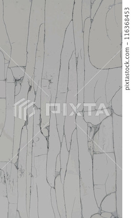Texture with cracks of old paint. Vector. Texture with cracks of old paint. Vector. 116368453