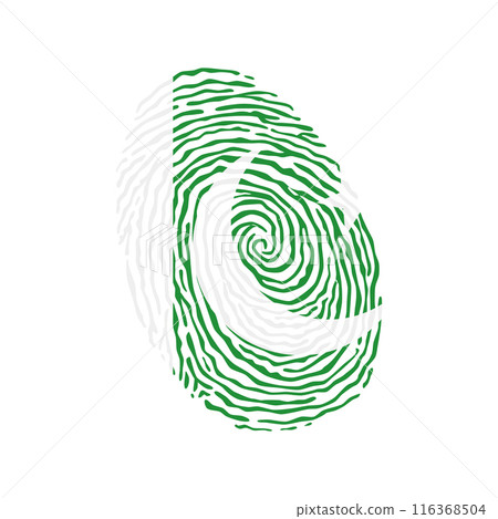 Fingerprint vector colored with the national flag of Pakistan 116368504