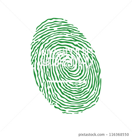 Fingerprint vector colored with the national flag of Saudi Arabia 116368550