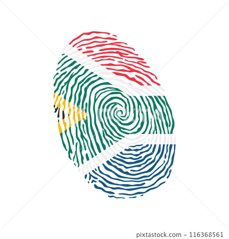 Fingerprint vector colored with the national flag of South Africa Fingerprint vector colored with the national flag of South Africa 116368561