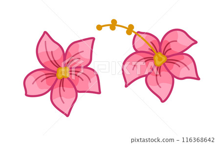 Hibiscus flower cartoon icon set. Vector illustration of a tropical blossom plant on a white background. Hibiscus flower cartoon icon set. Vector illustration of a tropical blossom plant on a white background. 116368642