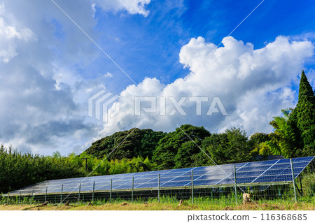 solar panel  116368685
