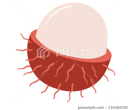 Fruit rambutan in cartoon hand drawn simple style. Editable variable color. Fruit rambutan in cartoon hand drawn simple style. Editable variable color. 116368705