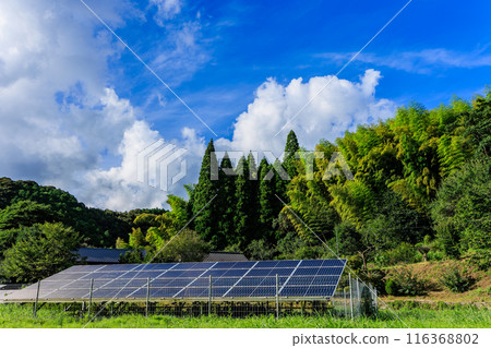 solar panel solar panel 116368802