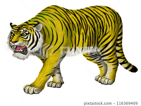 一隻老虎 116369409