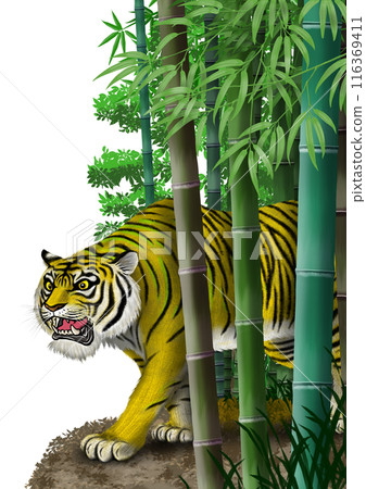 老虎和竹林 老虎和竹林 116369411