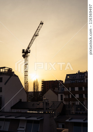 construction crane silhouette sunset new buildings construction crane silhouette sunset new buildings 116369497