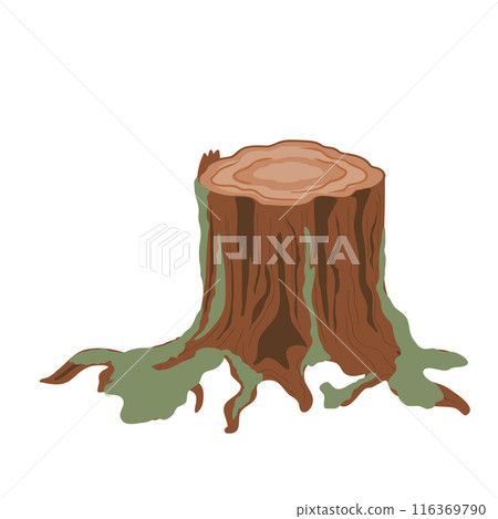 An old stump vector isolated illustration. Forest design element 116369790