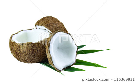 A close-up photograph of a mature and open coconuts isolated on a white background. A close-up photograph of a mature and open coconuts isolated on a white background. 116369931