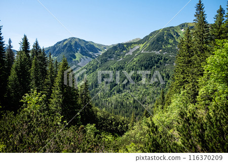 Silent valley, High Tatras mountain, Slovakia Silent valley, High Tatras mountain, Slovakia 116370209