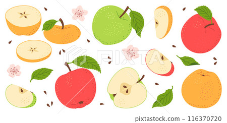 Set of Whole and sliced apples with green leaves and flowers flat style Set of Whole and sliced apples with green leaves and flowers flat style 116370720