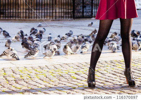 Autumn fashion. Female legs in stylish shoes outdoor 116370897