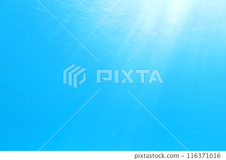 Light shining through the seawater through the acrylic 116371016