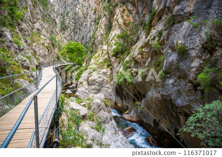 Sapadere canyon with wooden paths and cascades of waterfalls in the Taurus mountains near Alanya, Turkey Sapadere canyon with wooden paths and cascades of waterfalls in the Taurus mountains near Alanya, Turkey 116371017