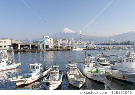 Tagonoura Port, Fuji City, Shizuoka Prefecture, a fishing port with a view of Mt. Fuji 116371046