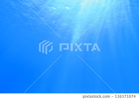 Light shining through the seawater through the acrylic Light shining through the seawater through the acrylic 116371074