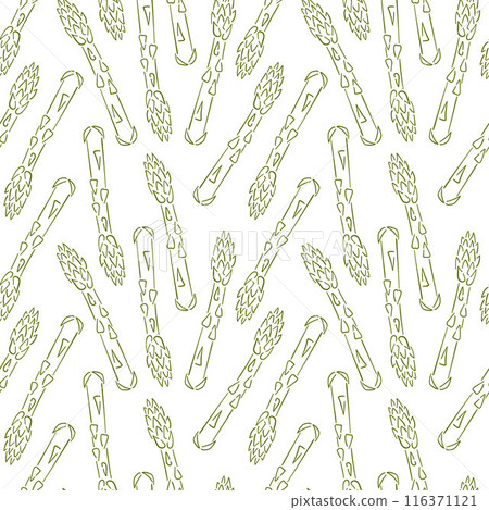 Green sprouts of asparagus seamless pattern in line art style. Template for product packaging and design menu and restaurant. Vegetable. Vector illustration on a white background. 116371121