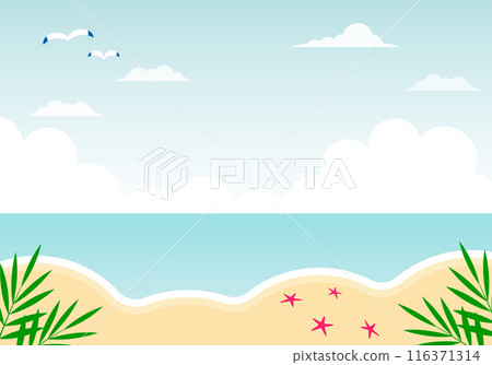 Tropical sea and sandy beach 116371314