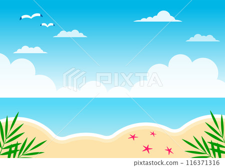 Tropical sea and sandy beach 116371316