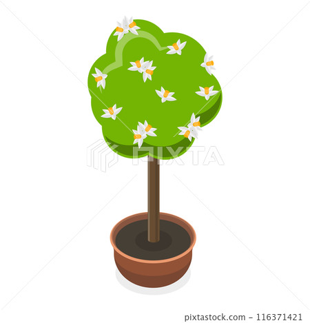 3D Isometric Flat  Set of Garden Flowers. Item 5 116371421
