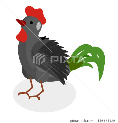 3D Isometric Flat  Set of Chickens. Item 4 116371586