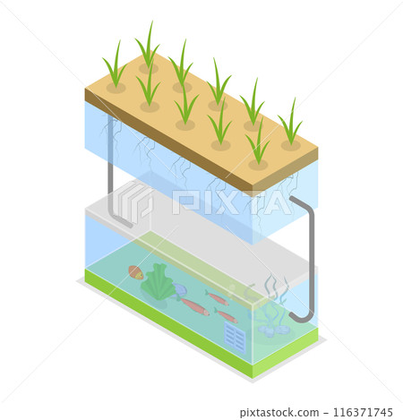 3D Isometric Flat  Illustration of Growing Systems. Item 1 116371745