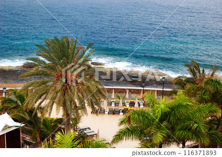 View on the beach and palm trees of luxury hotel, Tenerife island, Spain View on the beach and palm trees of luxury hotel, Tenerife island, Spain 116371893