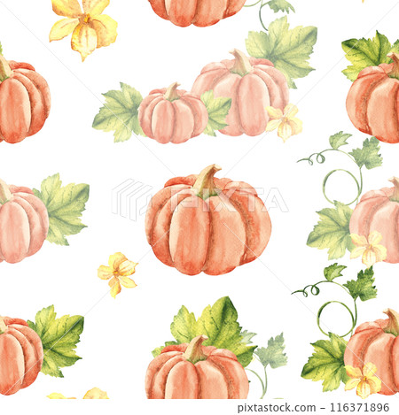 Pumpkin Watercolor Seamless Pattern on a white background. Can be used for kitchen textile prints, napkins, wrapping paper, product packaging design. Pumpkin Watercolor Seamless Pattern on a white background. Can be used for kitchen textile prints, napkins, wrapping paper, product packaging design. 116371896