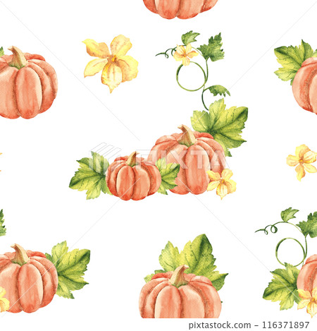 Pumpkin Watercolor Seamless Pattern on a white background. Can be used for kitchen textile prints, napkins, wrapping paper, product packaging design. Pumpkin Watercolor Seamless Pattern on a white background. Can be used for kitchen textile prints, napkins, wrapping paper, product packaging design. 116371897