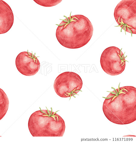 Tomato Watercolor Seamless Pattern on a white background. Can be used for kitchen textile prints, product packaging design. Tomato Watercolor Seamless Pattern on a white background. Can be used for kitchen textile prints, product packaging design. 116371899