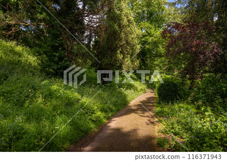 Castle Grounds, a public park in Reigate, Surrey, UK. While the castle no longer exists, the grounds are a pleasant place to walk in the centre of Reigate. 116371943