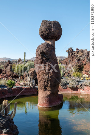 Cactus in the Cactus Garden, Lanzarote, Spain 116371990