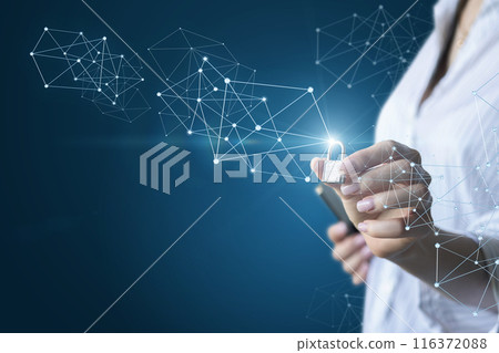 Digital data protection specialists install protection. 116372088