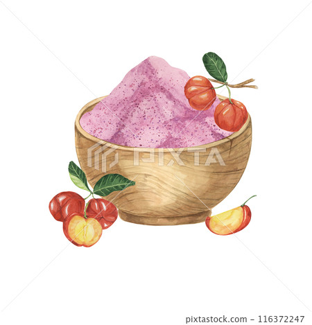 A bowl filled with pink acerola powder and fresh red Barbados cherries. Watercolor clipart of acerola berry superfood for food packaging, dietary supplement branding, and natural health campaigns A bowl filled with pink acerola powder and fresh red Barbados cherries. Watercolor clipart of acerola berry superfood for food packaging, dietary supplement branding, and natural health campaigns 116372247