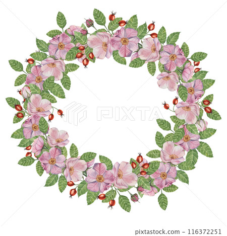 Rosehip round frame template, pink wild rose flowers and leaves. Watercolor detailed botanical wreath for birthday, anniversary, thank you, congratulations and mothers day cards, wedding invitation 116372251
