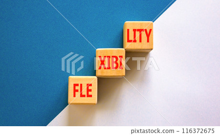 Flexibility symbol. Concept word Flexibility on beautiful wooden blocks. Beautiful white and blue background. Business flexibility concept. Copy space. Flexibility symbol. Concept word Flexibility on beautiful wooden blocks. Beautiful white and blue background. Business flexibility concept. Copy space. 116372675