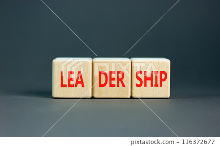 Leadership symbol. Concept word Leadership on beautiful wooden blocks. Beautiful grey background. Business leadership concept. Copy space. Leadership symbol. Concept word Leadership on beautiful wooden blocks. Beautiful grey background. Business leadership concept. Copy space. 116372677