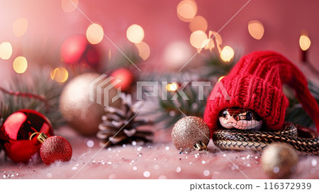 Green snake in red hat year on pink background with Christmas tree and lights. New year design 116372939