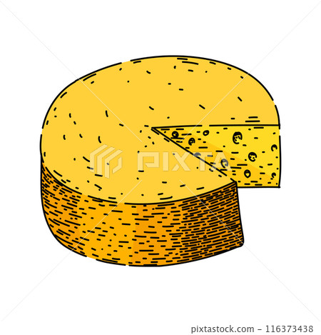 dairy cheese sketch hand drawn vector dairy cheese sketch hand drawn vector 116373438