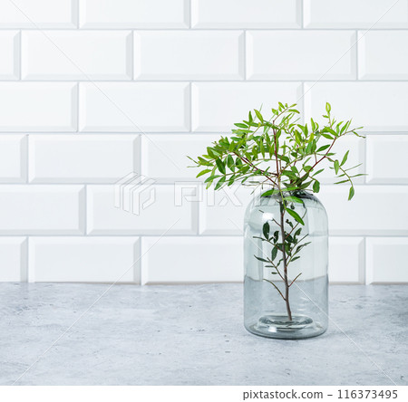 A green branch from a pistachio tree in a glass vase on a white brick background A green branch from a pistachio tree in a glass vase on a white brick background 116373495