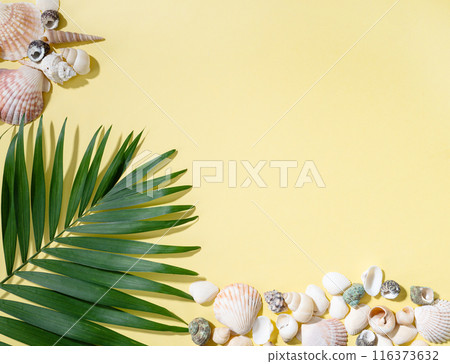 Seashells and palm leaf on a bright yellow background. The concept of summer holidays. Top view 116373632