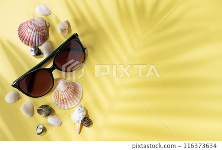 Seashells and sunglasses on a bright yellow background with palm leaf shadow.  116373634