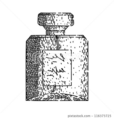 fragrance perfum bottle female sketch hand drawn vector 116373725