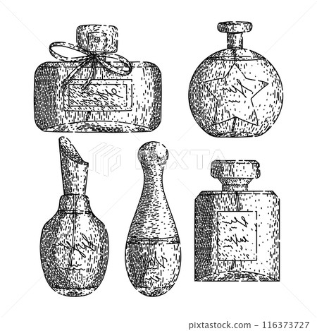 perfum bottle female set sketch hand drawn vector perfum bottle female set sketch hand drawn vector 116373727