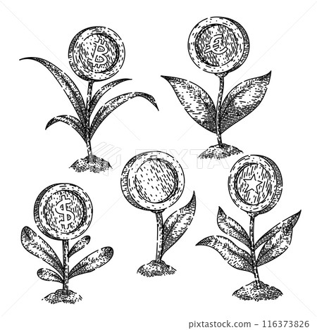 financial growth set sketch hand drawn vector 116373826