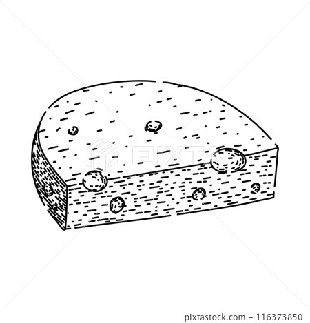 piece cheese sketch hand drawn vector piece cheese sketch hand drawn vector 116373850