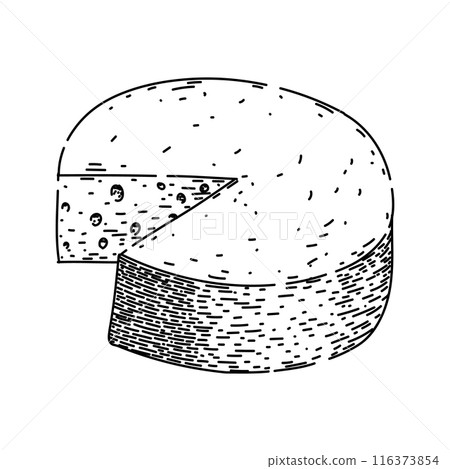 dairy cheese sketch hand drawn vector 116373854
